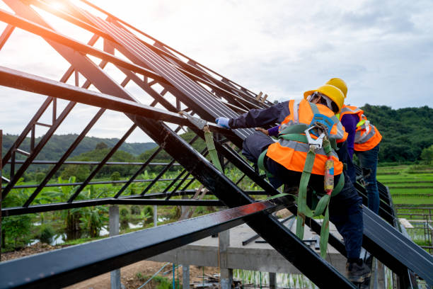 Best Local Roofing Companies  in Pleasureville, KY