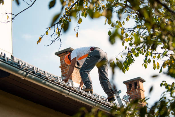 Best Metal Roofing Contractor  in Pleasureville, KY