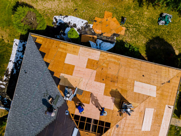 Best Metal Roofing Contractor  in Pleasureville, KY