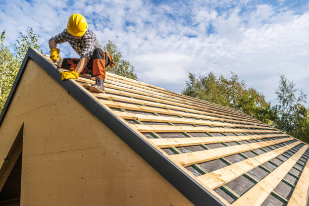 Professional Roofing Contractor in Pleasureville, KY